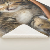 最も可愛い赤ん坊の動物 |かわいいタビー猫が眠る シェルパブランケット (3/4)
