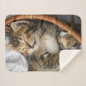 最も可愛い赤ん坊の動物 |かわいいタビー猫が眠る シェルパブランケット (正面(横))