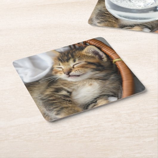 最も可愛い赤ん坊の動物 |かわいいタビー猫が眠る スクエアペーパーコースター (アングル)