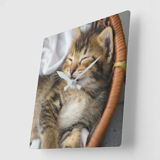 最も可愛い赤ん坊の動物 |かわいいタビー猫が眠る スクエア壁時計 (傾斜)