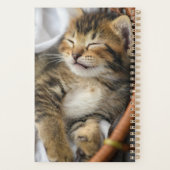 最も可愛い赤ん坊の動物 |かわいいタビー猫が眠る プランナー手帳 (裏面)