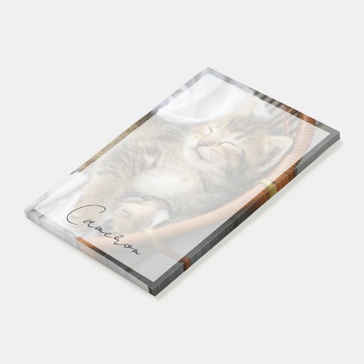 最も可愛い赤ん坊の動物 |かわいいタビー猫が眠る ポストイット (アングル)