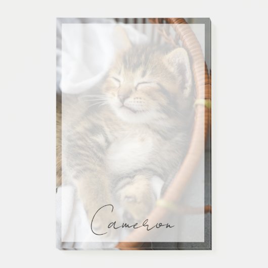 最も可愛い赤ん坊の動物 |かわいいタビー猫が眠る ポストイット (正面)