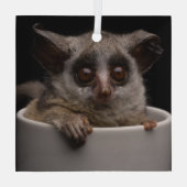 最も可愛い赤ん坊の動物 |かわいいブシュベビー ガラスオーナメント (裏面)