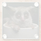 最も可愛い赤ん坊の動物 |かわいいブシュベビー ガラスコースター (裏面)