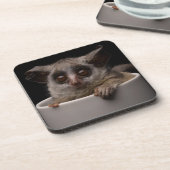 最も可愛い赤ん坊の動物 |かわいいブシュベビー コースター (左側)