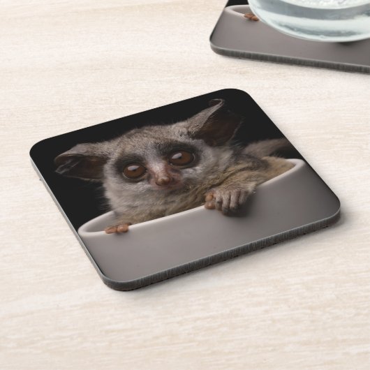 最も可愛い赤ん坊の動物 |かわいいブシュベビー コースター (左側)