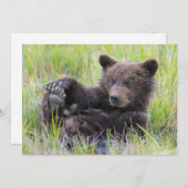最も可愛い赤ん坊の動物 |かわいいブラウンベア遊カブ サンキューカード (正面/裏面)