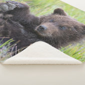 最も可愛い赤ん坊の動物 |かわいいブラウンベア遊カブ シェルパブランケット (3/4)