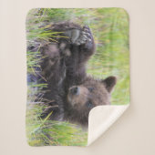 最も可愛い赤ん坊の動物 |かわいいブラウンベア遊カブ シェルパブランケット (正面)