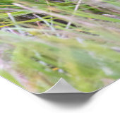 最も可愛い赤ん坊の動物 |かわいいブラウンベア遊カブ ポスター (角)