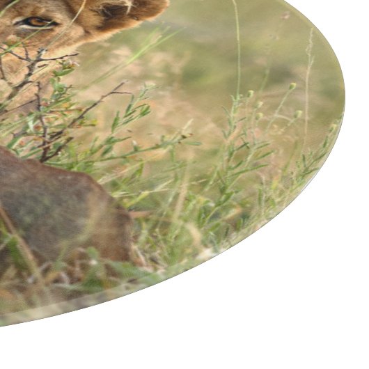 最も可愛い赤ん坊の動物 |かわいいベビーライオンの子 カッティングボード (角)