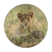 最も可愛い赤ん坊の動物 |かわいいベビーライオンの子 カッティングボード (正面)