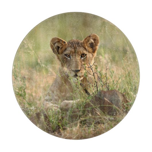 最も可愛い赤ん坊の動物 |かわいいベビーライオンの子 カッティングボード (正面)