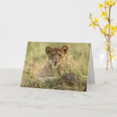 最も可愛い赤ん坊の動物 |かわいいベビーライオンの子 カード (黄色い花)