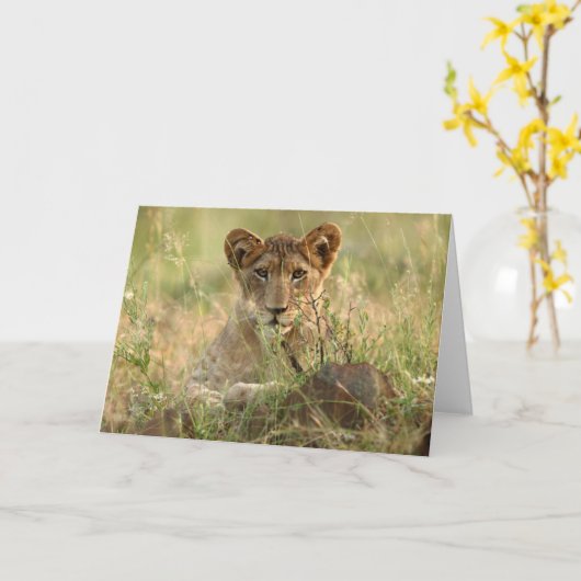 最も可愛い赤ん坊の動物 |かわいいベビーライオンの子 カード (黄色い花)