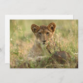 最も可愛い赤ん坊の動物 |かわいいベビーライオンの子 サンキューカード (正面/裏面)