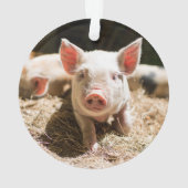 最も可愛い赤ん坊の動物 |かわいいベビー豚 オーナメント (裏面)