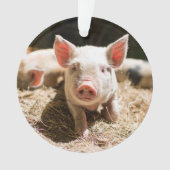 最も可愛い赤ん坊の動物 |かわいいベビー豚 オーナメント (正面)