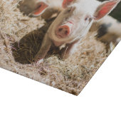 最も可愛い赤ん坊の動物 |かわいいベビー豚 カッティングボード (角)