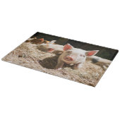 最も可愛い赤ん坊の動物 |かわいいベビー豚 カッティングボード (角)