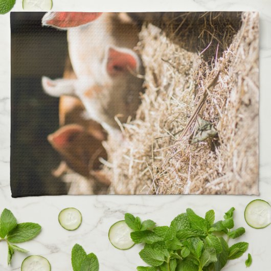 最も可愛い赤ん坊の動物 |かわいいベビー豚 キッチンタオル (折り畳み)