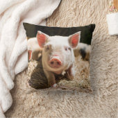 最も可愛い赤ん坊の動物 |かわいいベビー豚 クッション (ブランケット)