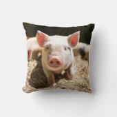 最も可愛い赤ん坊の動物 |かわいいベビー豚 クッション (正面)