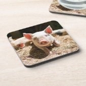 最も可愛い赤ん坊の動物 |かわいいベビー豚 コースター (左側)