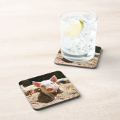 最も可愛い赤ん坊の動物 |かわいいベビー豚 コースター (右側)