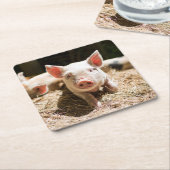 最も可愛い赤ん坊の動物 |かわいいベビー豚 スクエアペーパーコースター (アングル)
