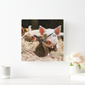 最も可愛い赤ん坊の動物 |かわいいベビー豚 スクエア壁時計 (ホーム)