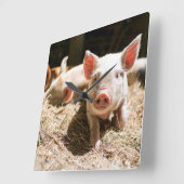 最も可愛い赤ん坊の動物 |かわいいベビー豚 スクエア壁時計 (傾斜)