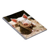 最も可愛い赤ん坊の動物 |かわいいベビー豚 ノートブック (右側)