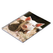 最も可愛い赤ん坊の動物 |かわいいベビー豚 ノートブック (左側)