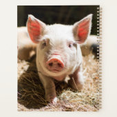 最も可愛い赤ん坊の動物 |かわいいベビー豚 プランナー手帳 (裏面)