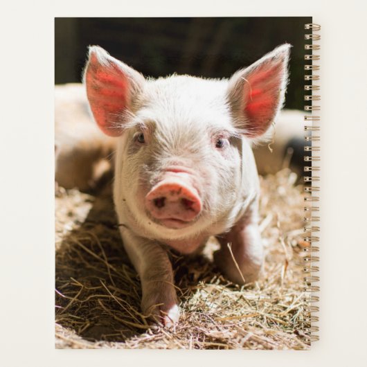 最も可愛い赤ん坊の動物 |かわいいベビー豚 プランナー手帳 (裏面)