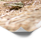 最も可愛い赤ん坊の動物 |かわいいベビー豚 ポスター (角)