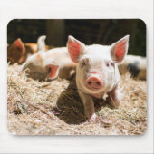 最も可愛い赤ん坊の動物 |かわいいベビー豚 マウスパッド (正面)