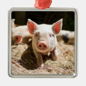 最も可愛い赤ん坊の動物 |かわいいベビー豚 メタルオーナメント (正面)