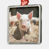 最も可愛い赤ん坊の動物 |かわいいベビー豚 メタルオーナメント (左)
