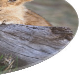 最も可愛い赤ん坊の動物 |かわいいライオンの子 カッティングボード (角)