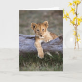 最も可愛い赤ん坊の動物 |かわいいライオンの子 カード (黄色い花)