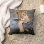 最も可愛い赤ん坊の動物 |かわいいライオンの子 クッション (ブランケット)