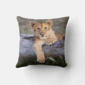 最も可愛い赤ん坊の動物 |かわいいライオンの子 クッション (裏面)