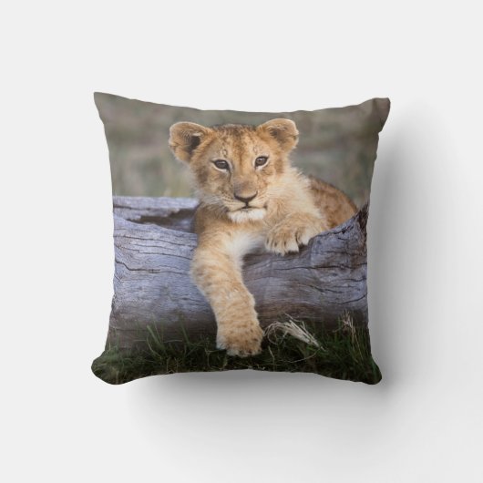 最も可愛い赤ん坊の動物 |かわいいライオンの子 クッション (正面)