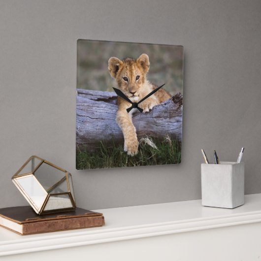最も可愛い赤ん坊の動物 |かわいいライオンの子 スクエア壁時計 (オフィス)