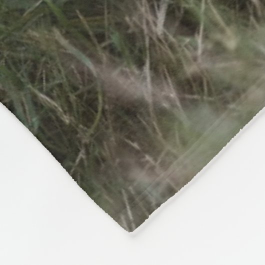 最も可愛い赤ん坊の動物 |かわいいライオンの子 フリースブランケット (角)