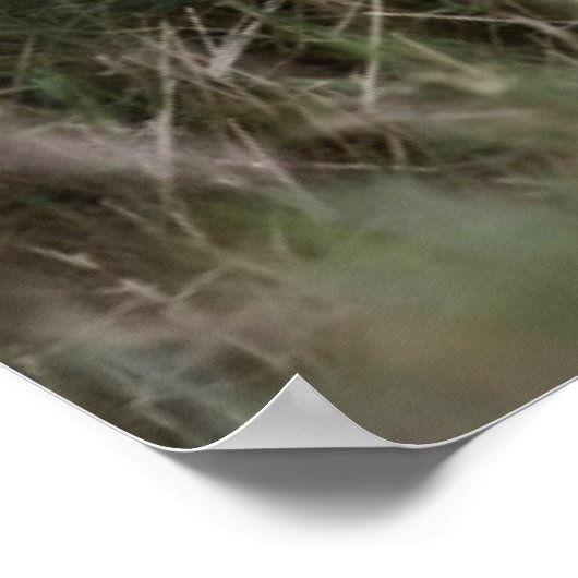 最も可愛い赤ん坊の動物 |かわいいライオンの子 ポスター (角)