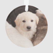 最も可愛い赤ん坊の動物 |かわいい子犬の山 オーナメント (裏面)